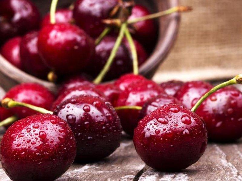 Вишня купить саженцы из питомника в Великом Новгороде